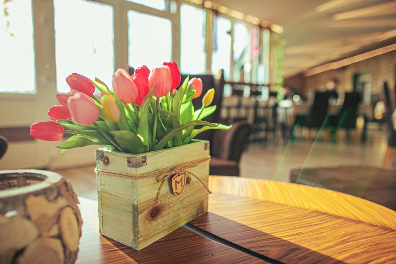 Martoni Resort & Restaurant Szigetszentmárton Eksteriør billede
